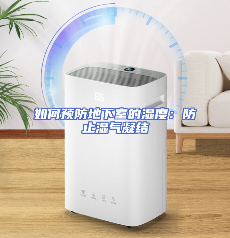 如何预防地下室的湿度：防止湿气凝结