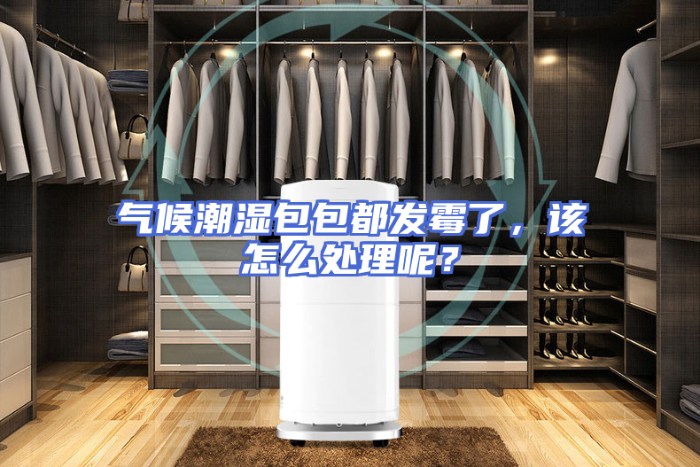 气候潮湿包包都发霉了，该怎么处理呢？