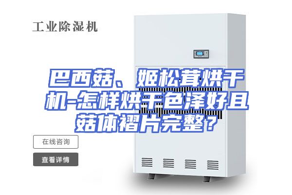 巴西菇、姬松茸烘干机-怎样烘干色泽好且菇体褶片完整？
