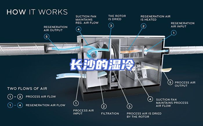 长沙的湿冷