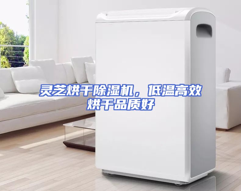 灵芝烘干除湿机，低温高效烘干品质好