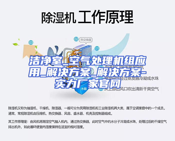洁净室_空气处理机组应用_解决方案_解决方案-实力厂家官网