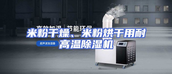 米粉干燥、米粉烘干用耐高温除湿机