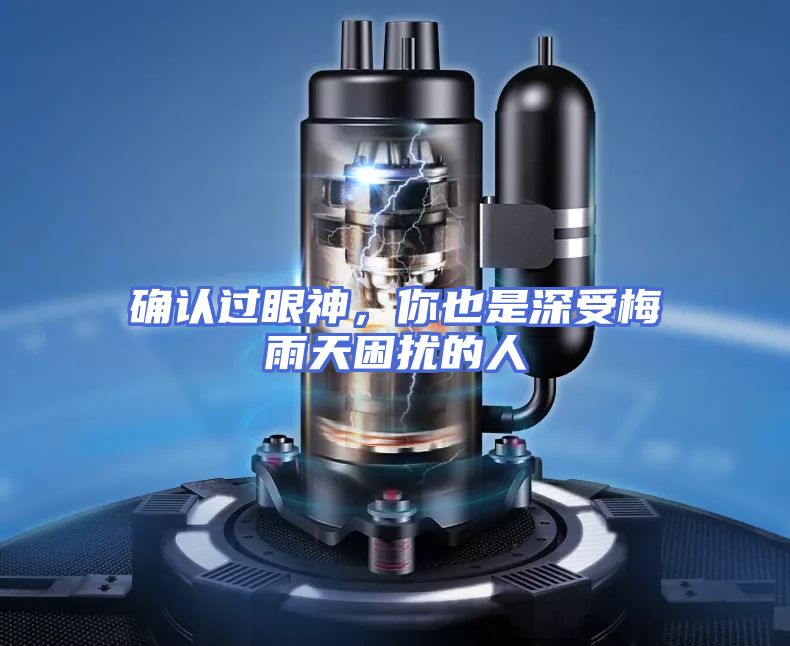 确认过眼神，你也是深受梅雨天困扰的人