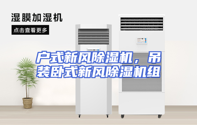 户式新风除湿机，吊装卧式新风除湿机组