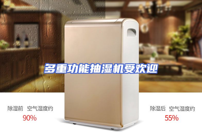 多重功能抽湿机受欢迎