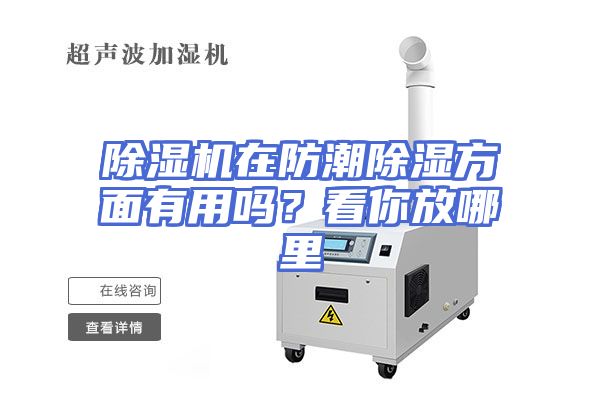 除湿机在防潮除湿方面有用吗？看你放哪里