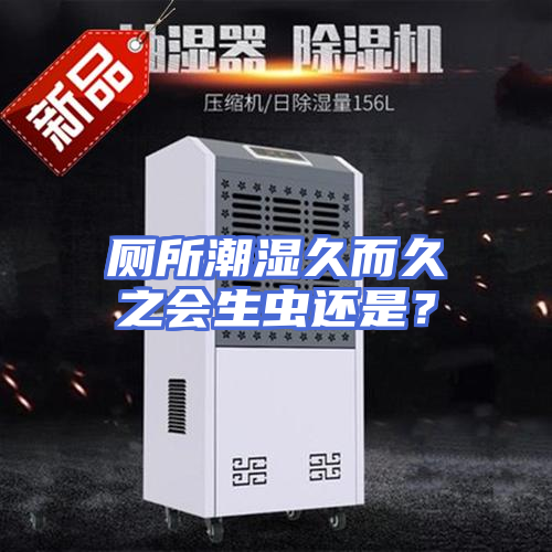 厕所潮湿久而久之会生虫还是？