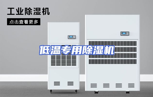 低温专用除湿机