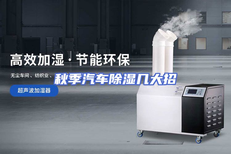 秋季汽车除湿几大招