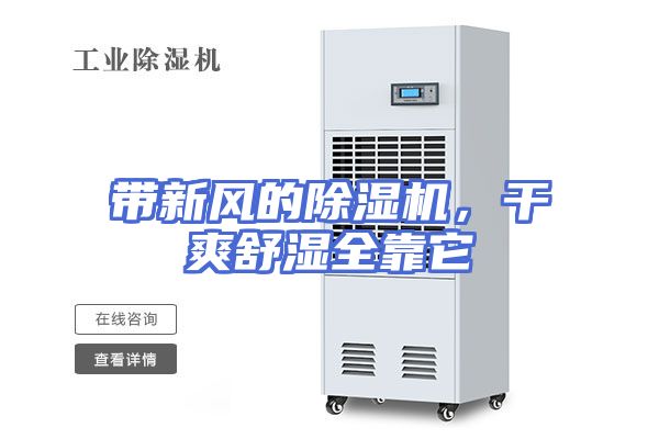 带新风的除湿机，干爽舒湿全靠它