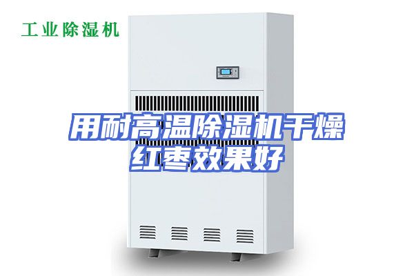 用耐高温除湿机干燥红枣效果好