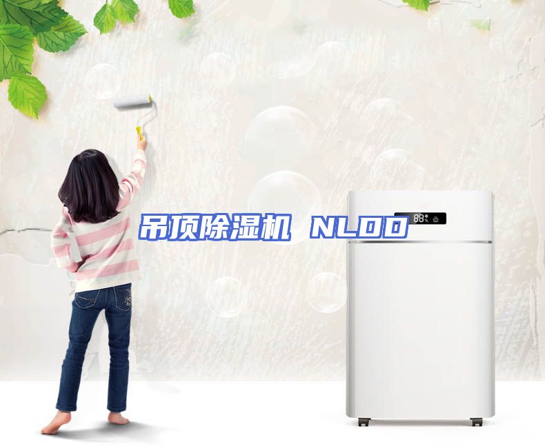 吊顶除湿机 NLDD