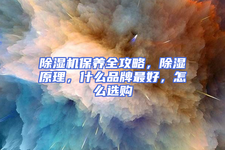 除湿机保养全攻略，除湿原理，什么品牌最好，怎么选购