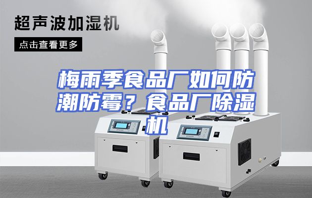 梅雨季食品厂如何防潮防霉？食品厂除湿机