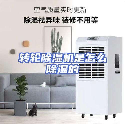 转轮除湿机是怎么除湿的