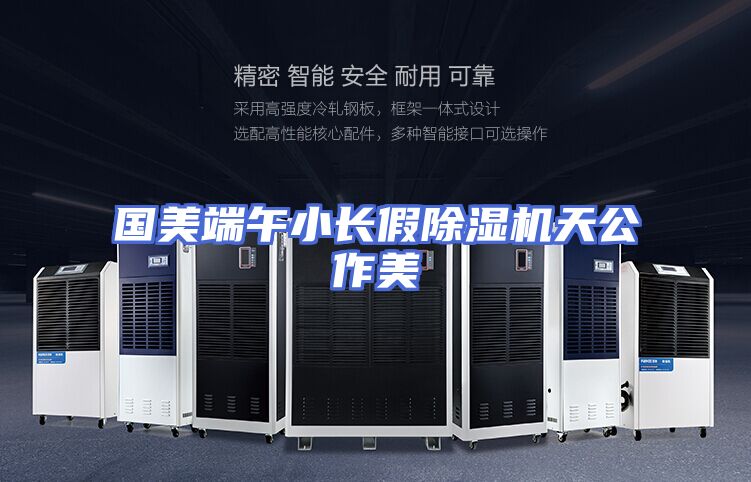 国美端午小长假除湿机天公作美