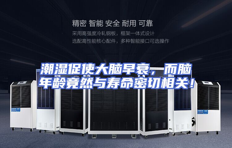 潮湿促使大脑早衰，而脑年龄竟然与寿命密切相关！