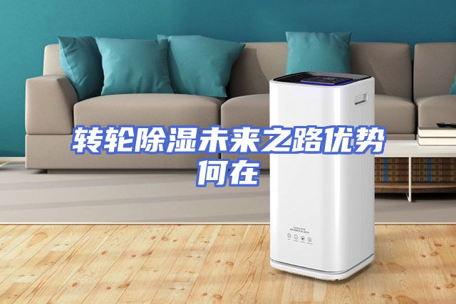 转轮除湿未来之路优势何在