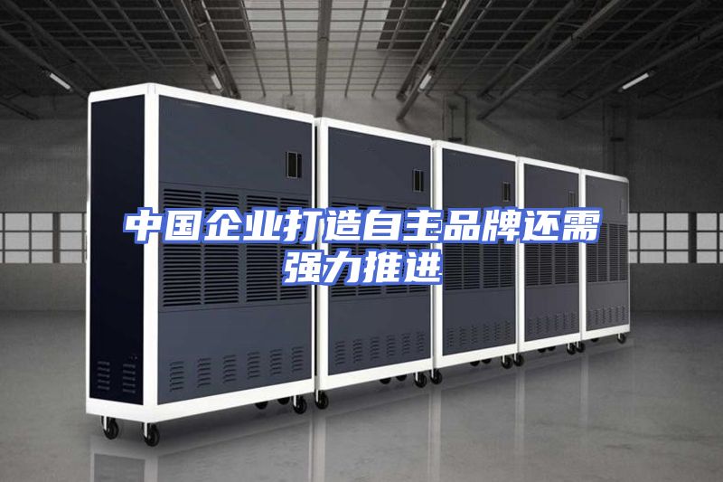 中国企业打造自主品牌还需强力推进