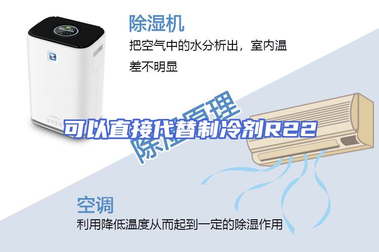 可以直接代替制冷剂R22