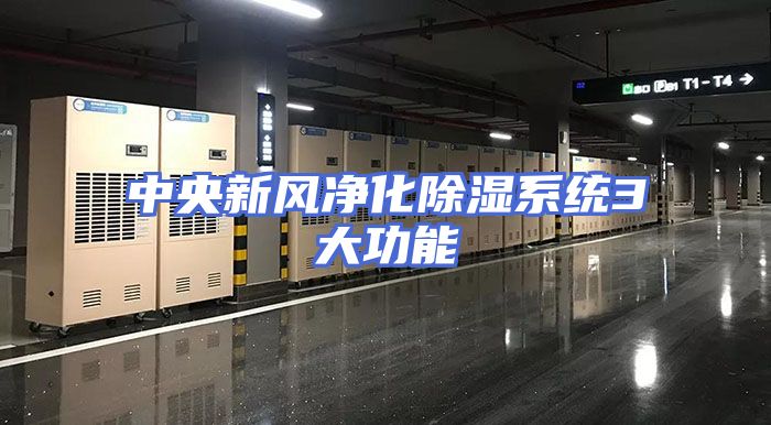 中央新风净化除湿系统3大功能