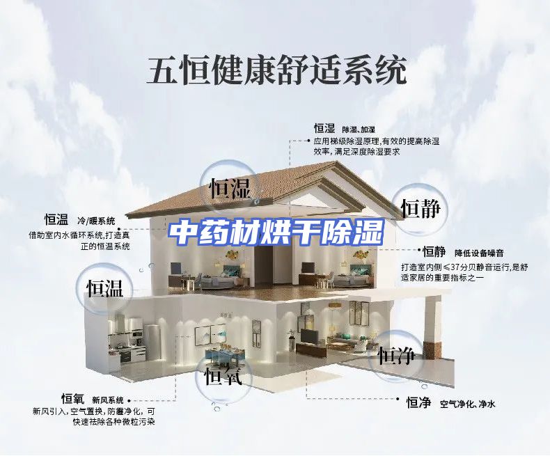 中药材烘干除湿