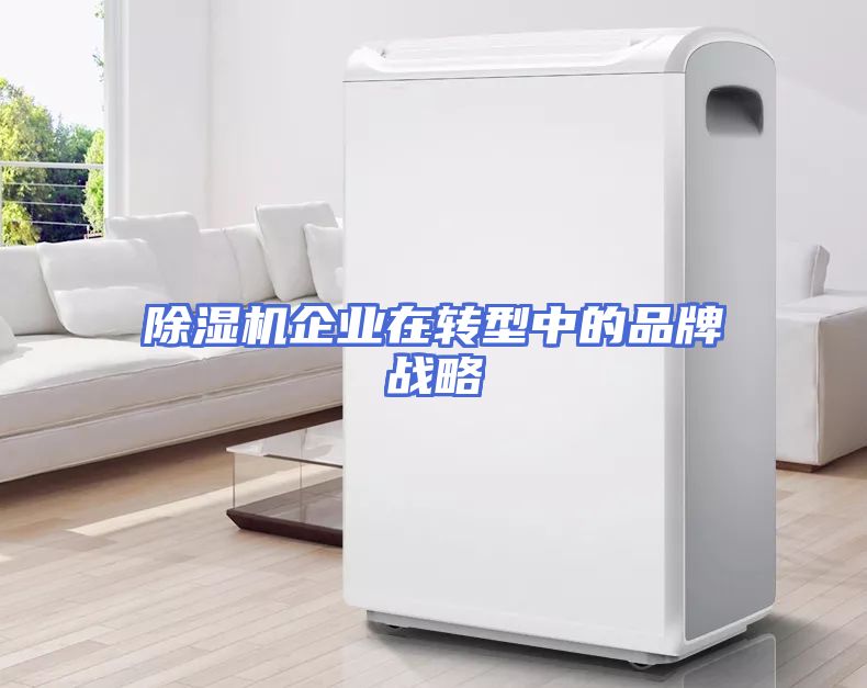除湿机企业在转型中的品牌战略