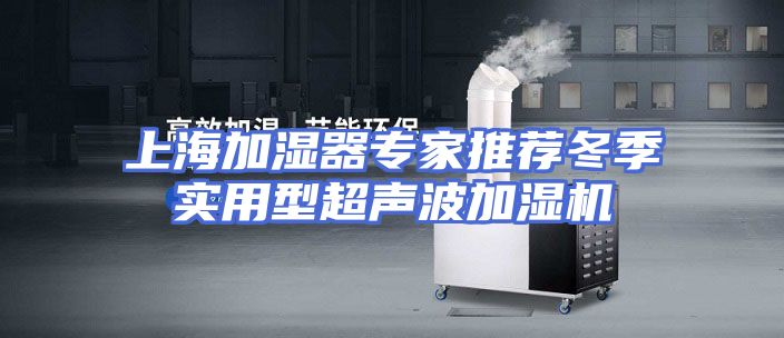 上海加湿器专家推荐冬季实用型超声波加湿机