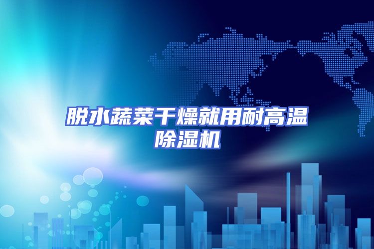 脱水蔬菜干燥就用耐高温除湿机