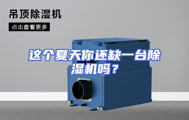 这个夏天你还缺一台除湿机吗？