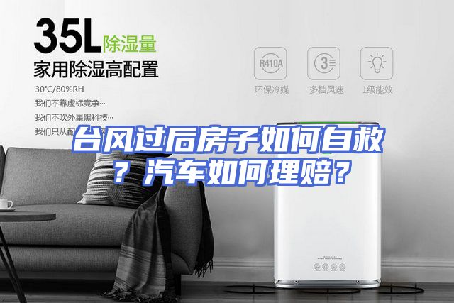 台风过后房子如何自救？汽车如何理赔？