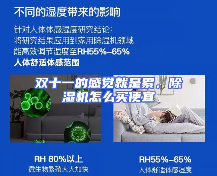 双十一的感觉就是累，除湿机怎么买便宜