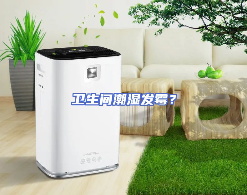 卫生间潮湿发霉？