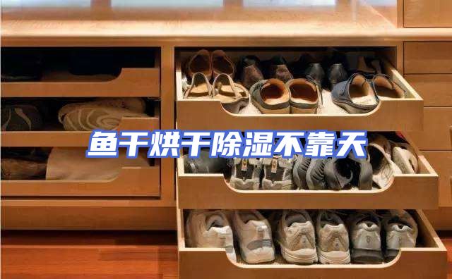 鱼干烘干除湿不靠天