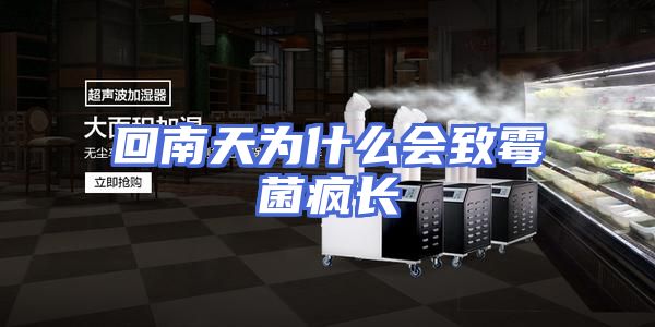 回南天为什么会致霉菌疯长