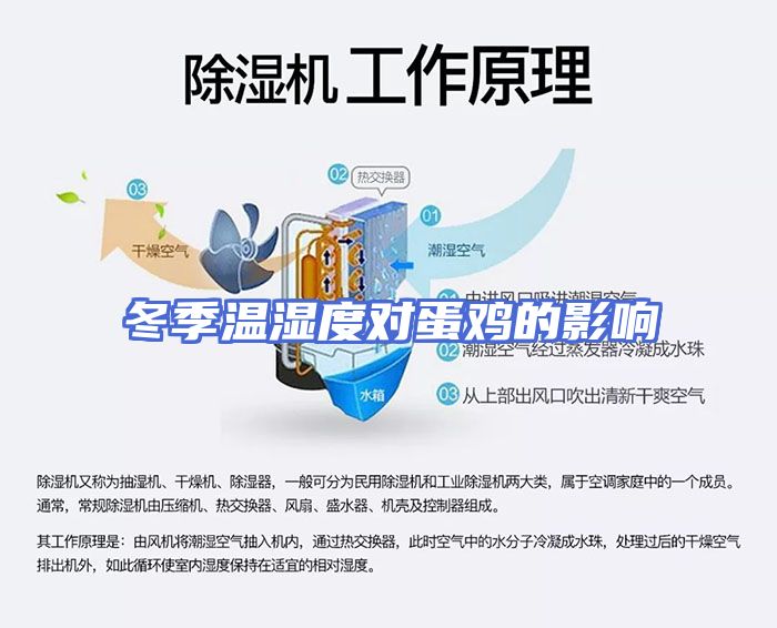 冬季温湿度对蛋鸡的影响