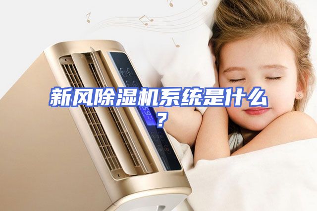 新风除湿机系统是什么？