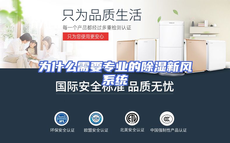 为什么需要专业的除湿新风系统