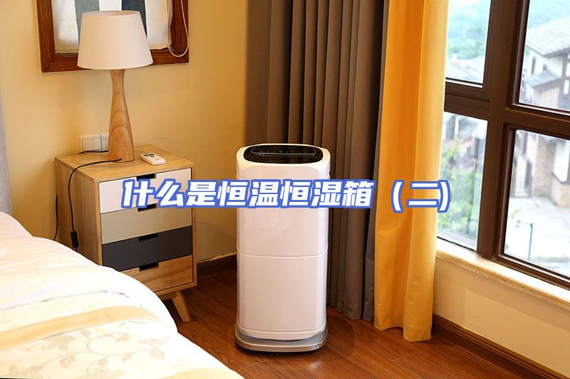 什么是恒温恒湿箱（二)