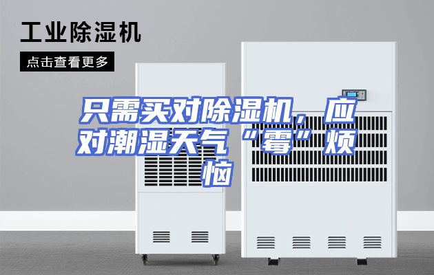 只需买对除湿机，应对潮湿天气“霉”烦恼