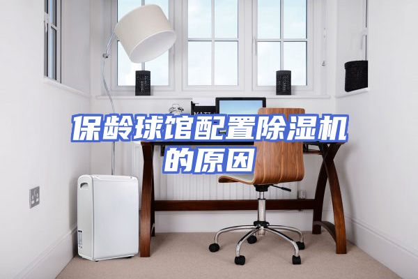 保龄球馆配置除湿机的原因