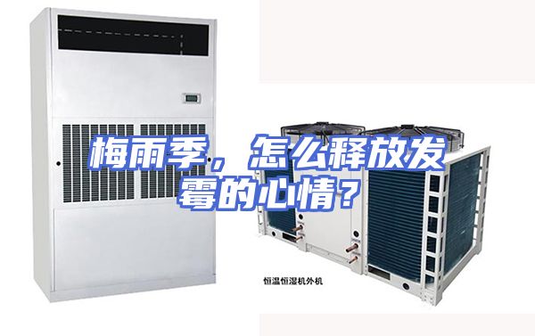 梅雨季，怎么释放发霉的心情？