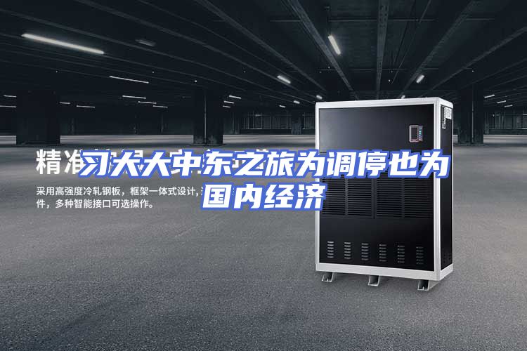 习大大中东之旅为调停也为国内经济