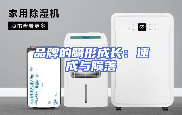 品牌的畸形成长：速成与陨落