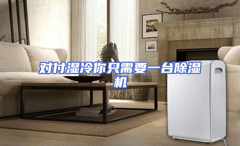 对付湿冷你只需要一台除湿机