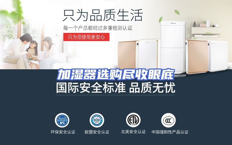 加湿器选购尽收眼底