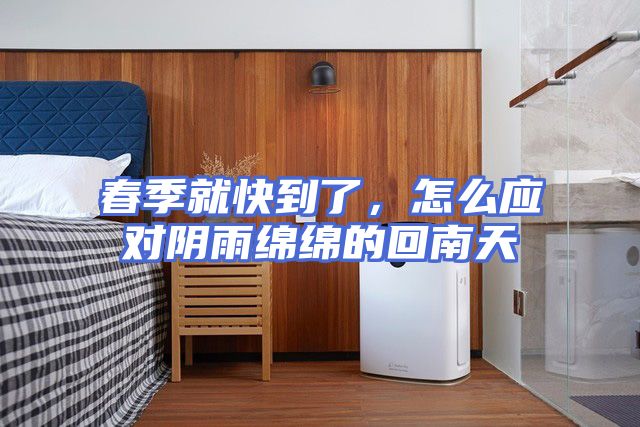 春季就快到了，怎么应对阴雨绵绵的回南天