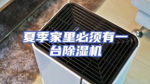 夏季家里必须有一台除湿机