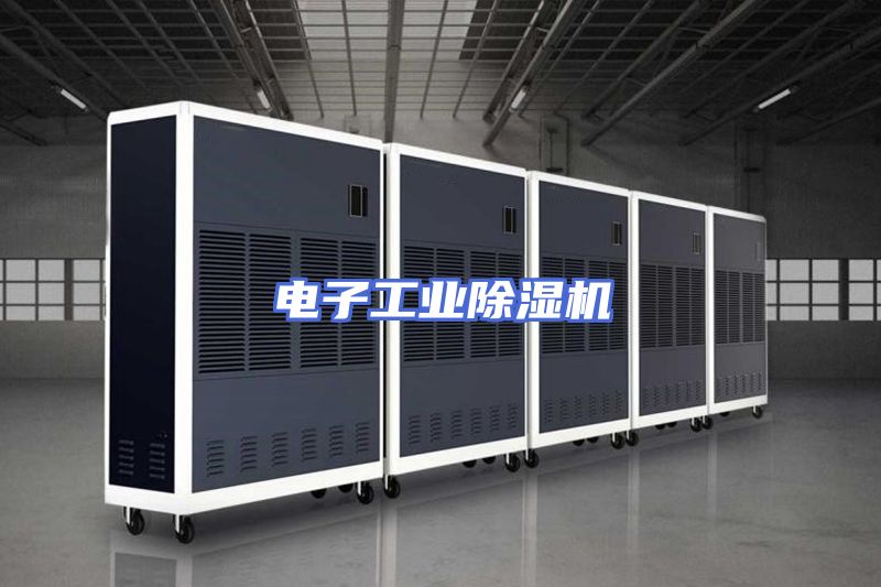 电子工业除湿机